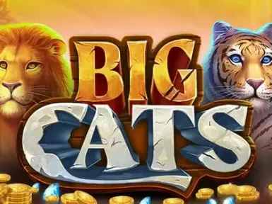 Billionairespin Casino screenshot